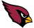 Arizona Cardinals  Image