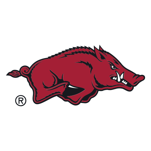  Arkansas Razorbacks Image