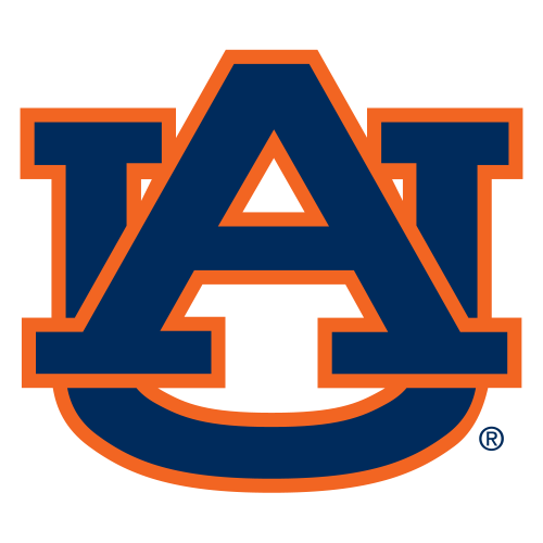 Auburn Tigers  Image