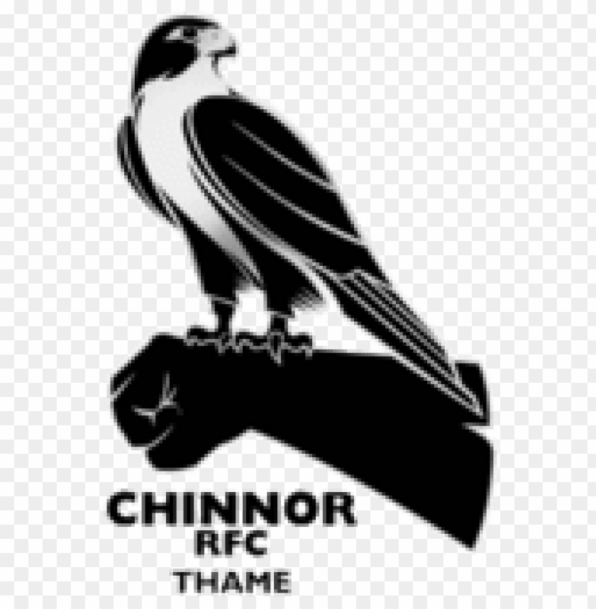  Chinnor RFC Image