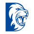 Lions - logo