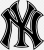 New York Yankees  Image