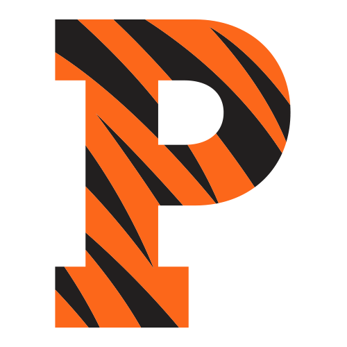 Princeton Tigers