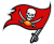 Tampa Bay Buccaneers  Image