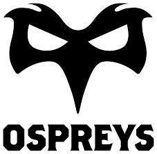 The Ospreys  Image