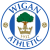  Wigan Athletic Image