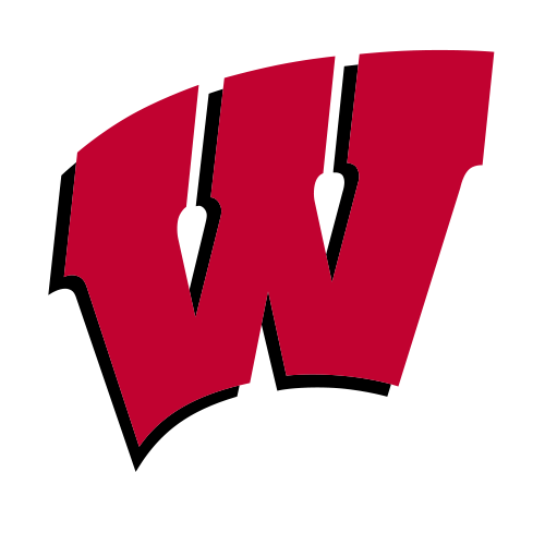 Wisconsin Badgers  Image